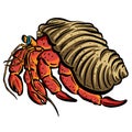 Crab Crustacean Shell Vector Cartoon Illustration Shrimp Shellfish