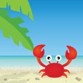 Crab Royalty Free Stock Photo