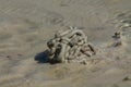 Pile of wet sand remained when crab dig hole on the beach
