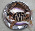 Crab and a fish placed on a plate