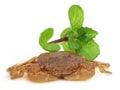 Crab with green mint leaves Royalty Free Stock Photo