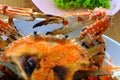 Crab grill seafood closeup Royalty Free Stock Photo