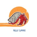 The Crab hermit, hand drawn vector art