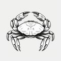 Black And White Crab Illustration For Brand Logo Design Royalty Free Stock Photo
