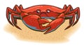 Crab