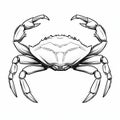Clean And Sharp Inking: Minimalistic Symmetry Of A Crab Drawing