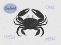 Crab Isolated Drawing. Sea Animal. Vector illustration. Seafood. Logo