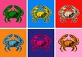 Crab Isolated Drawing. Sea Animal. Vector illustration. Seafood. Street Fast Food. Pop art. Artificial Art