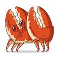 A Crab, isolated vector illustration. Cute cartoon picture for children of an aquatic animal Royalty Free Stock Photo