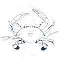 Crab line art  with air traps isolated on white background. Vector hand drawn illustration. Royalty Free Stock Photo