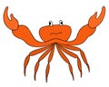 Crab. A marine invertebrate with claws of the crustacean order. Color vector illustration. Isolated background.