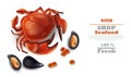 Crab and mussels Vector realistic on white background. Seafood template organic naturals Royalty Free Stock Photo