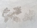 Crab nest, Circle and hole pattern in sand beach texture, Abstract background concept