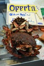 Crab for sale at Cadiz fish Market