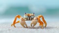Close-up View of Crab Crawling on Sandy Beach. AI Generated