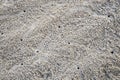 Crab Sand Hole Royalty Free Stock Photo