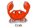 Crab sea animal fish cartoon illustration Royalty Free Stock Photo