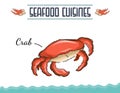 Crab Seafood cuisine. Seafood Restaurant Illustrations for menu.