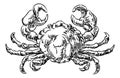 Crab Seafood Food Grunge Style Hand Drawn Icon