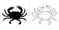 Crab silhouette sea animal