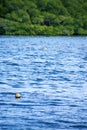 Crab trap buoy floating amongst waves on mangrove bay in FL