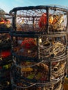 Crab traps in the afternoon sun