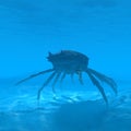 Crab underwater 3d rendering Royalty Free Stock Photo