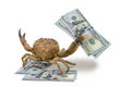 Crab and US dollars, on the isolated white background