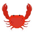 Crab vector illustration