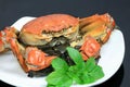 Crab on White Plate