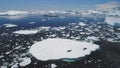 Crabeater seal family lies iceberg aerial view Royalty Free Stock Photo