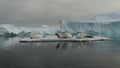 Crabeater seals Lobodon carcinophaga on ice floe in Plenau Bay Antarctic Peninsula, Antarctica