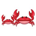 Crabs beach animals cartoon Royalty Free Stock Photo