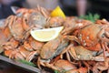 Crabs boiled with lemon Royalty Free Stock Photo