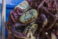 Crabs caught for sale