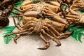 Crabs at the fish market closeup belly up.