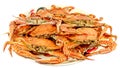 Crabs.Hot Steamed Crabs on a plate isolated on white background,Serrated mud crab, business people group