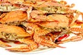 Crabs.Hot Steamed Crabs on a plate isolated on white background,Serrated mud crab, business people group