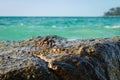 Crabs on a rock. Crabs have a sunbath on a rock near the sea Royalty Free Stock Photo