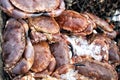 Crabs For Sale