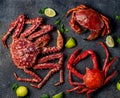 Crabs seafood background with crabs selections on black background Royalty Free Stock Photo