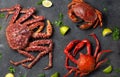 Crabs seafood background with crabs selections on black background Royalty Free Stock Photo