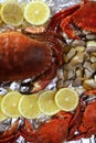 Crabs tellin clams and lemon seafood Royalty Free Stock Photo