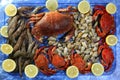 Crabs tellin shrimp clams and lemon Royalty Free Stock Photo