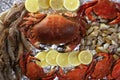 Crabs tellin shrimp clams and lemon Royalty Free Stock Photo