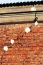 Crack in a brick wall. Royalty Free Stock Photo