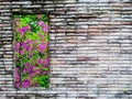 Crack brick wall and purple and pink flower green tree
