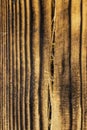 Crack in burnt wood close-up