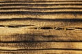 Crack in burnt wood close-up
