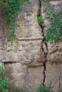 Crack in the Canyon Wall Royalty Free Stock Photo